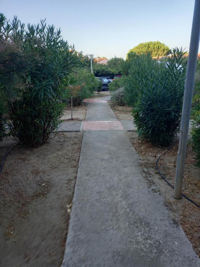 Appartement Saint Cyprien Plage Residence Les Mas De La Mer Saint-Cyprien (Pyrenees-Orientales) Exterior foto